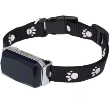 Beidou GPS pet positioning collar